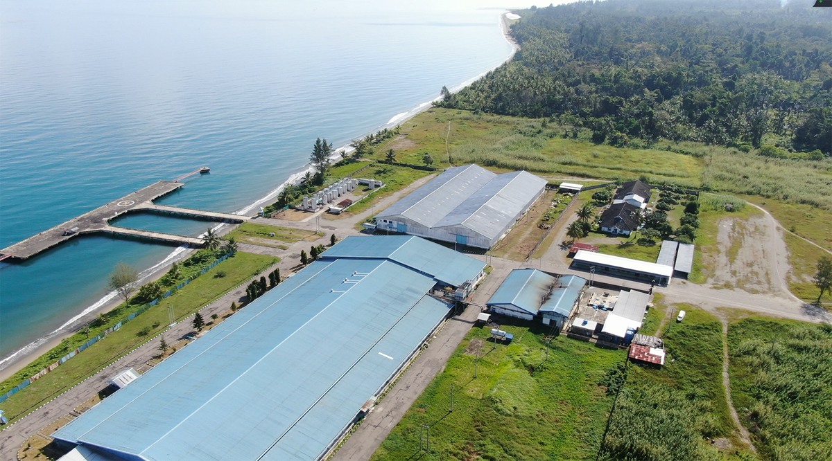 印尼瑟兰岛养虾基地.jpg